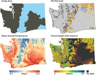 Mapping with height and spectral remote sensing implies that environment and forest structure jointly constrain tree community composition in temperate coniferous forests of eastern Washington, United States